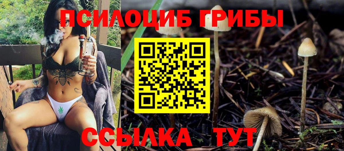 Псилоцибиновые грибы Magic Shrooms  Галлюциногенные грибы Psilocybine cubensis  Новокубанск  Вход с VPN 