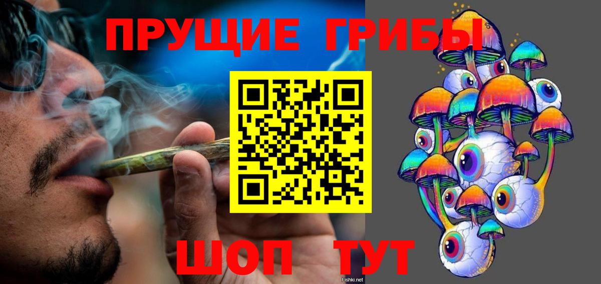 Галлюциногенные грибы Cubensis Новокубанск